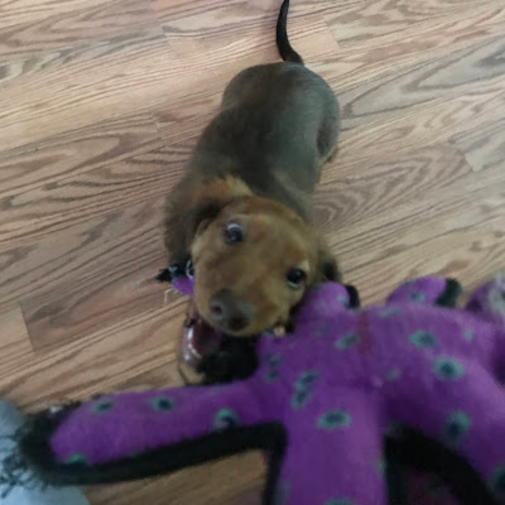 Meet your Posher, Kendra